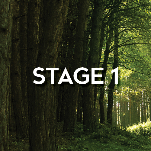 Stage 1 (text) over background of trees in the woods