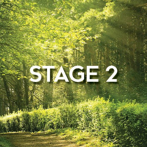 Stage 2 (text) over sunlight on wooded trees