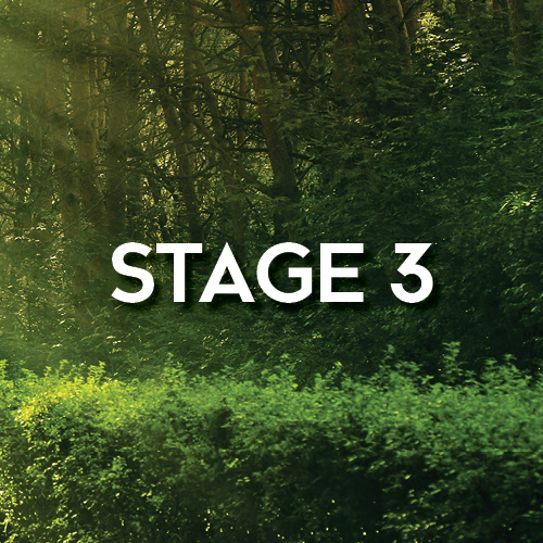 Stage 3 (text) on a tree background